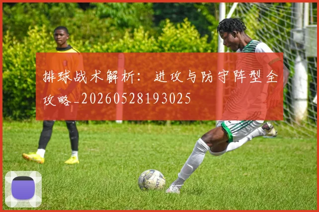 排球战术解析：进攻与防守阵型全攻略_20260528193025