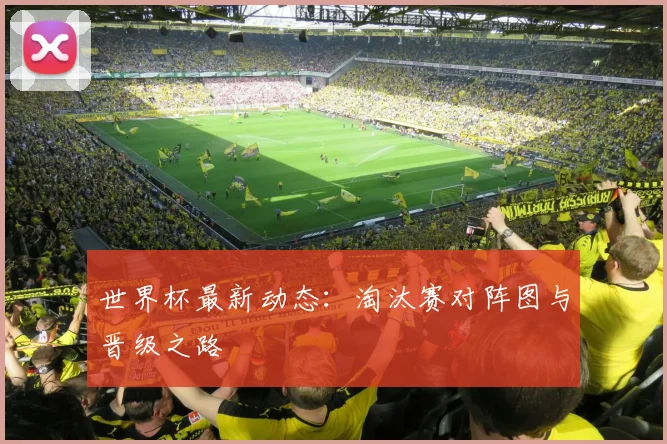 世界杯最新动态：淘汰赛对阵图与晋级之路
